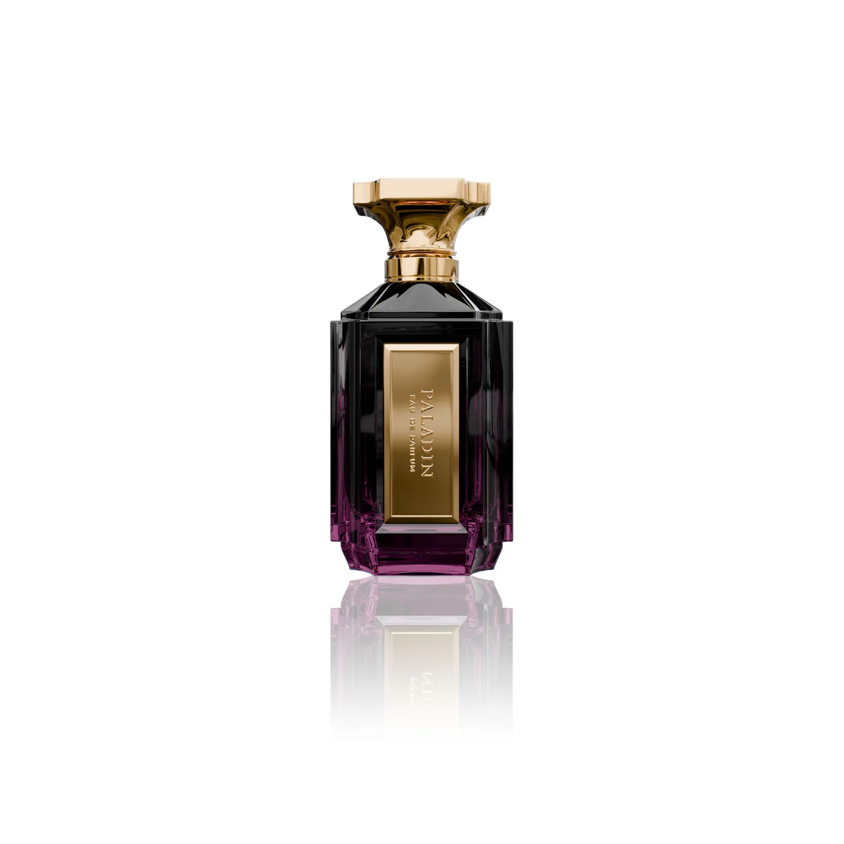 Velixir Paladin Eau de Perfume 100ml for Unisex