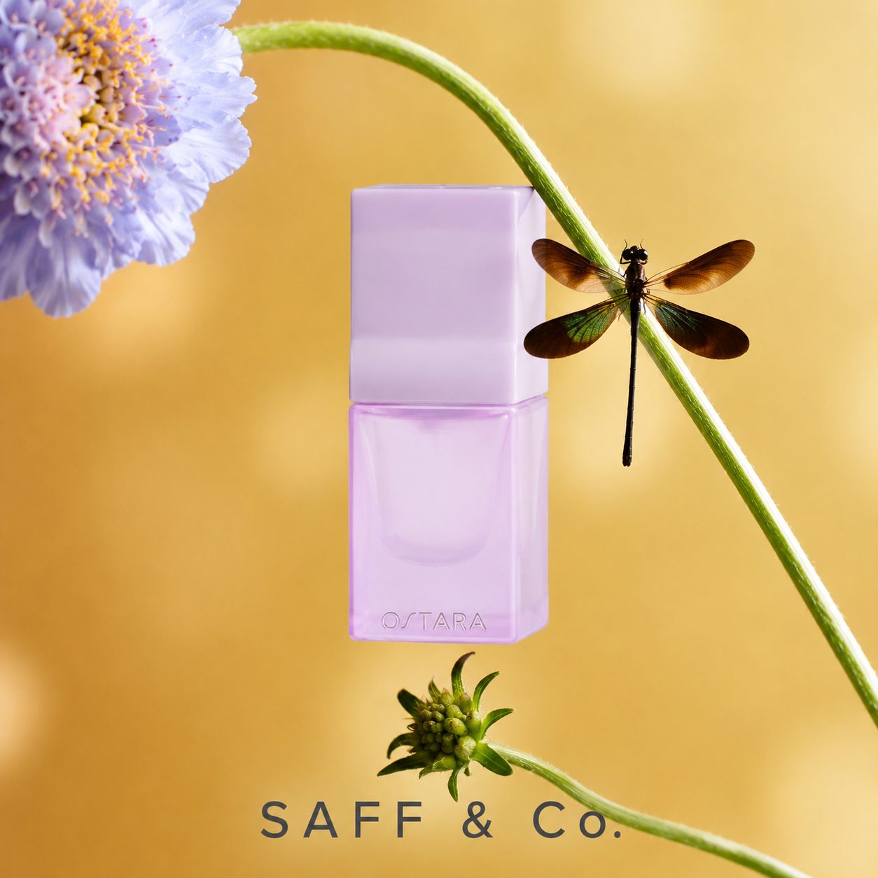 SAFF & Co. OSTARA Extrait de Parfum 8ml Travel Size image 2