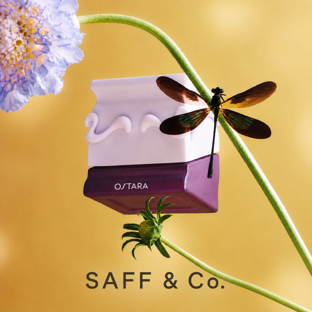 SAFF & Co. OSTARA Extrait de Parfum 35ml image 3
